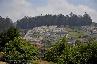 On Road-Route Ooty to Coonoor_DSC5296_H600